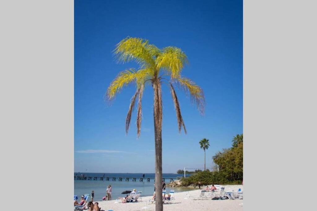 רסקין Manatee, Studio202, Beach Steps Away! Pool+Wifi מראה חיצוני תמונה